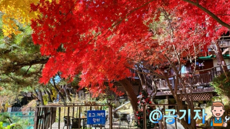 단풍이 너무 이뻤던 가을여행 팬션 추천, 횡성 캐빈타운