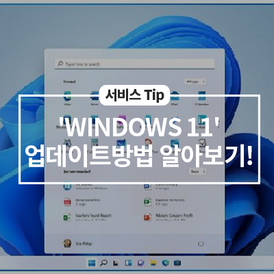  'WINDOWS 11' 업그레이드 방법 알아보기!