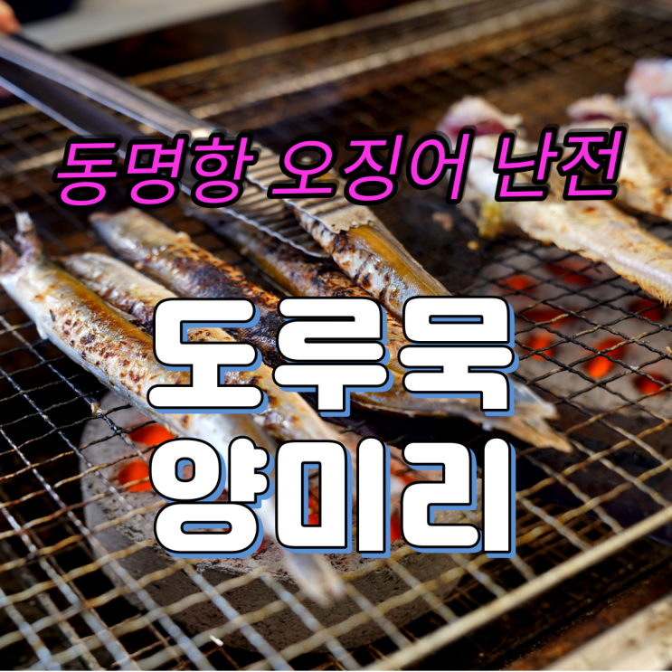 속초 동명항 오징어난전 알톡톡 도루묵 살통통 양미리 구이 맛 최고