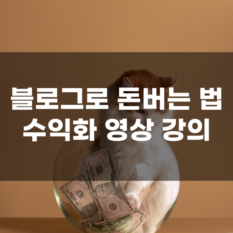 [기간한정할인]돈버는 블로그 영상 강의