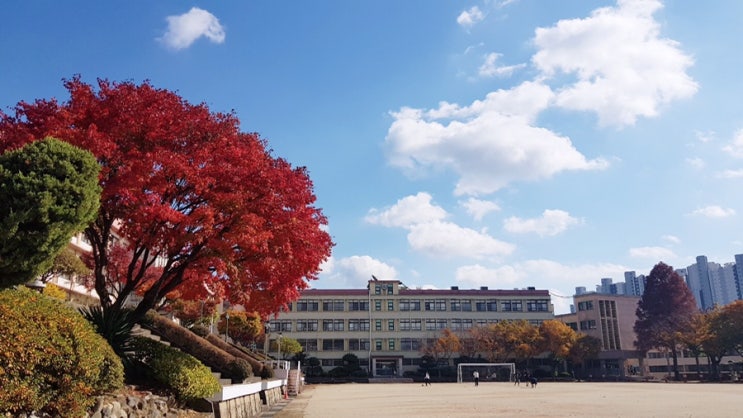 슬쌍디아빠 교단일기 FILE 197 / 온라인학습