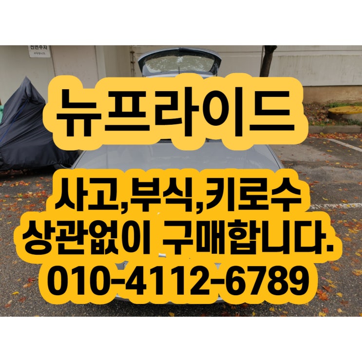  뉴 프라이드판매 하세요 뉴 프라이드폐차 No