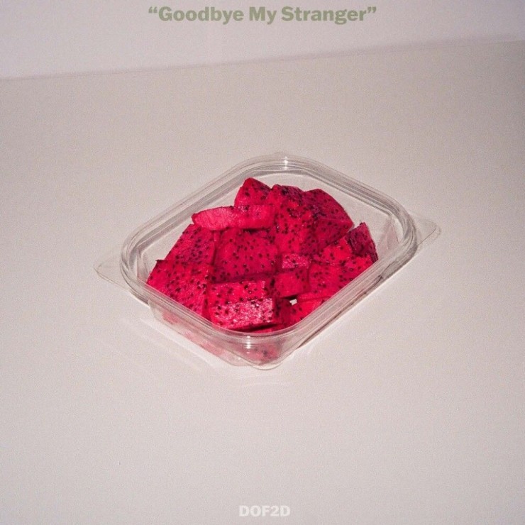 DOF2D - Goodbye My Stranger [노래가사, 듣기, MV]