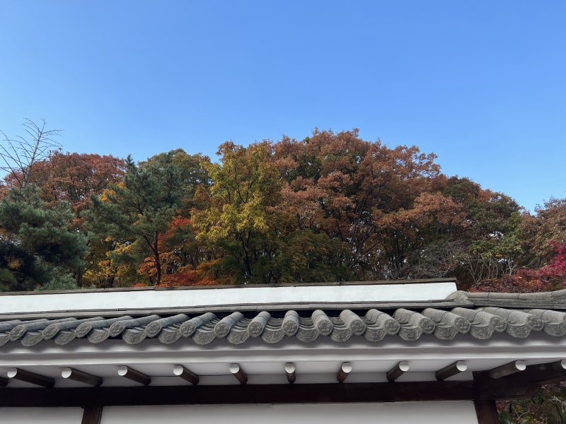북한산/우이동 한옥카페 선운각, 서울 단풍명소로! : 네이버 블로그