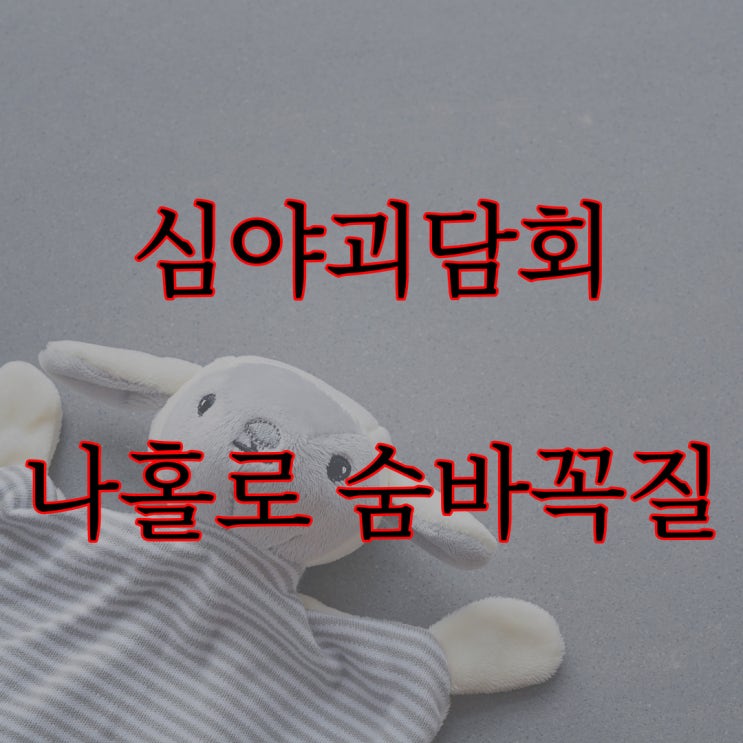  심야괴담회 / 나홀로 숨바꼭질 (혼숨)