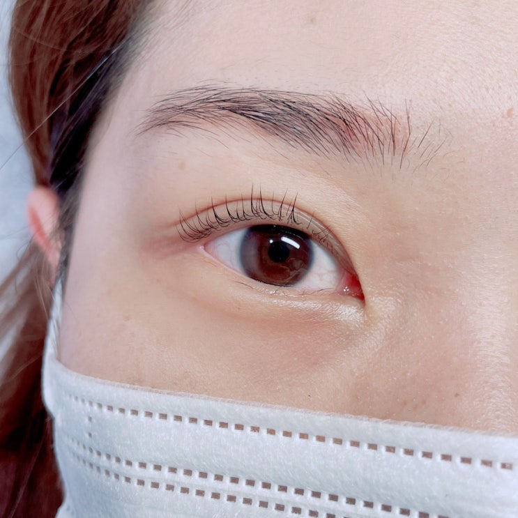  대전 속눈썹펌 변동 깔끔하게 잘 하는 뷰티앤쑤