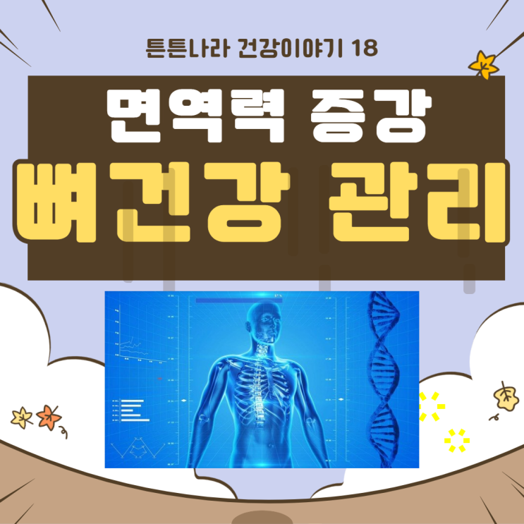  이것만 매일 먹으면 뼈 튼튼해진다!!!