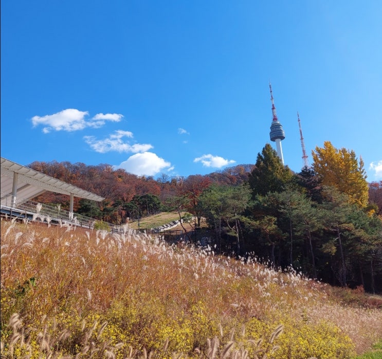 아름다운 인연 친구 편안한 친구 그리고 늦가을 남산 산책