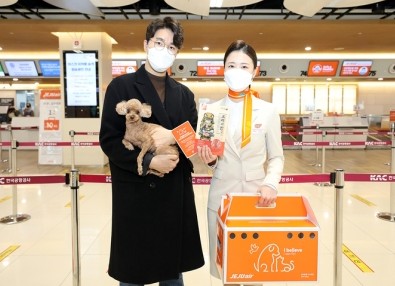  제주항공 강아지 비행기 탑승시 7kg까지, 티웨이는 9kg에 선물까지