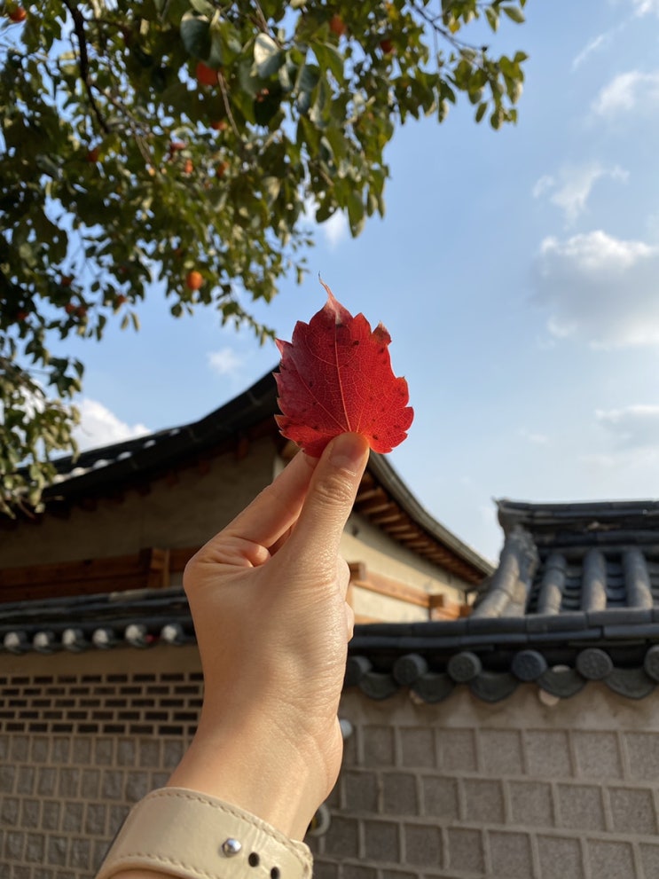 [가회동] 자극적이지 않아서 좋아, 마음을 담아내면 리뷰