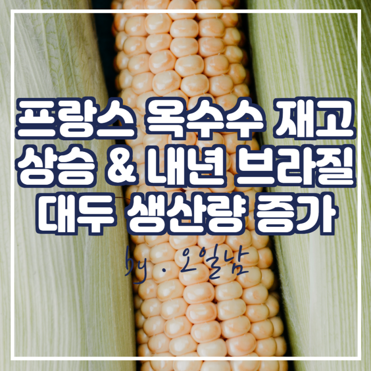  프랑스 옥수수 기말재고 상승, 브라질 2022년 대두 생산량 증가 보고
