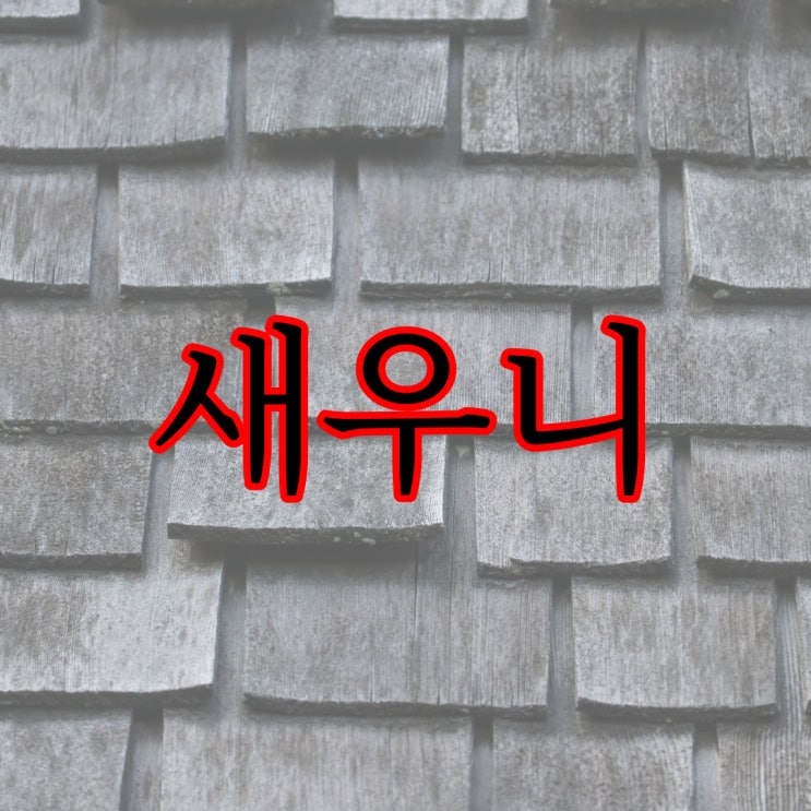  새우니 , 레전드 공포 괴담