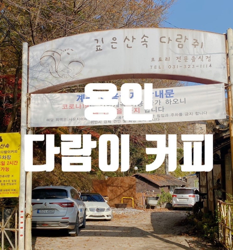  용인 단풍명소였던 깊은산속다람쥐 다람이커피