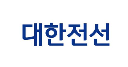 [특징주] 대한전선 14% 하락 '무상증자·유상증자 영향'