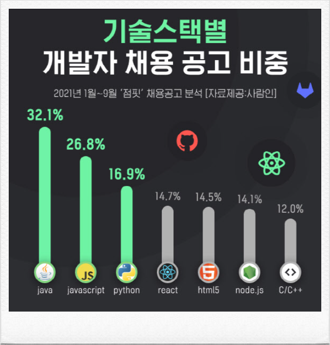  IT 개발자 : 언어별 취업 로드맵