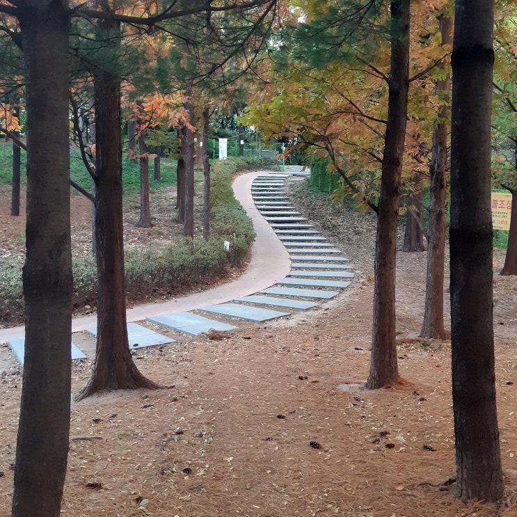 성동구 걷기 좋은 곳, 강아지 산책하기 좋은 곳 대현산배수지공원