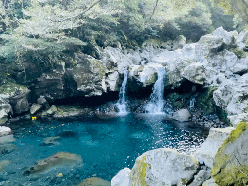  [제주도여행 2일차] 제주도 핫플 여행지_일출랜드, 스누피가든, 비자림, 원앙폭포, 황우지선녀탕