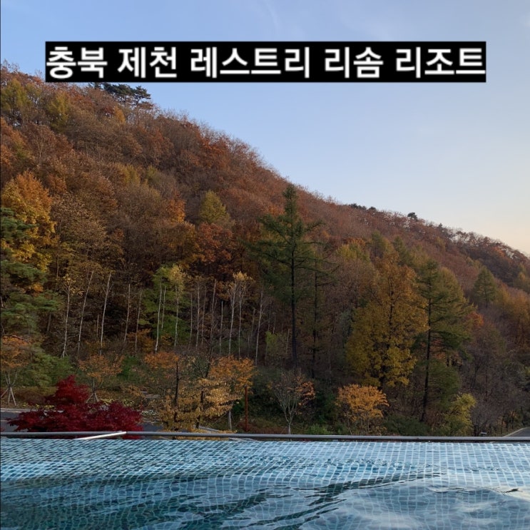  충북 제천 레스트리 리솜 리조트 룸 S 30 사용 후기 조식 해브나인스파