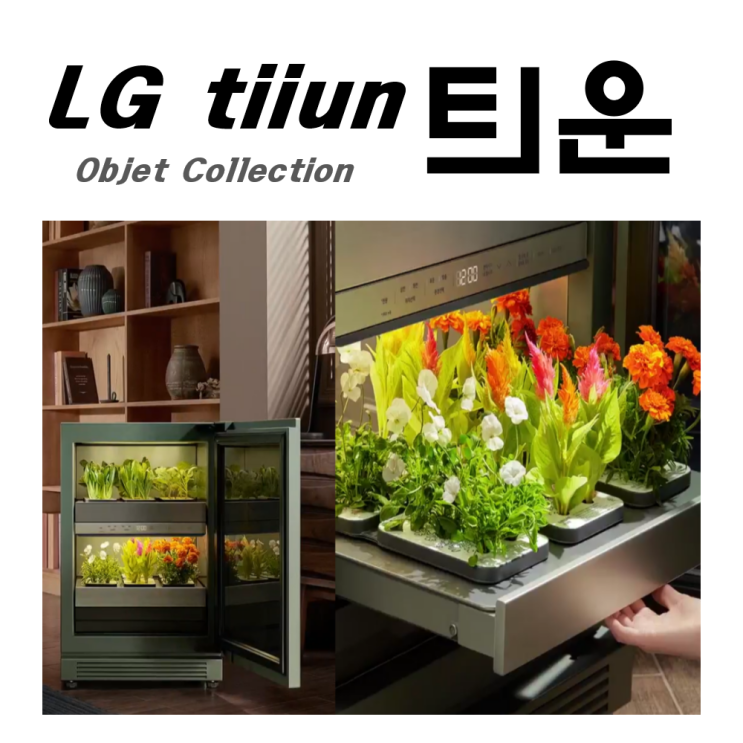 LG 엘지 틔운 미니 식물생활가전 가격 스펙 정보 공유 :)