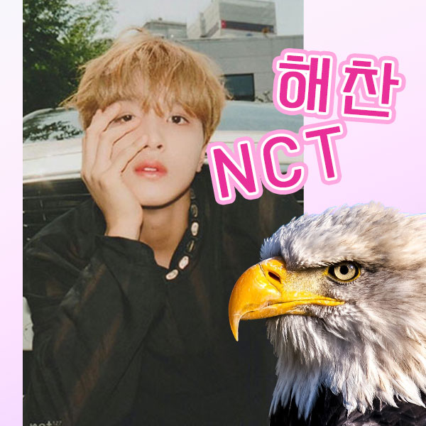  NCT 해찬 색약에 대한 사연을 정리해봤어요