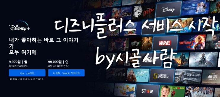  디즈니 플러스 서비스 시작