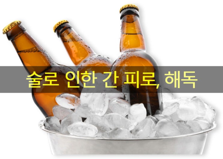  술로 인한 간 피로, 해독 & 알코올 분해 시간?