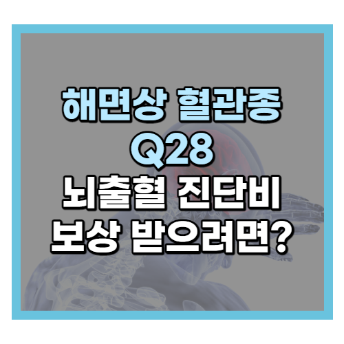 해면상 혈관종Q28 뇌출혈 진단비 받으려면 어떻게 해야할까?