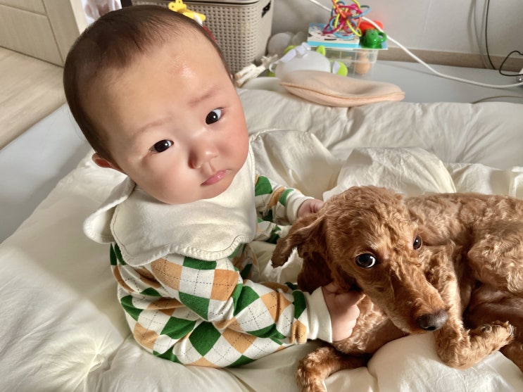  널 처음 만난 날 선우마미 육아일기