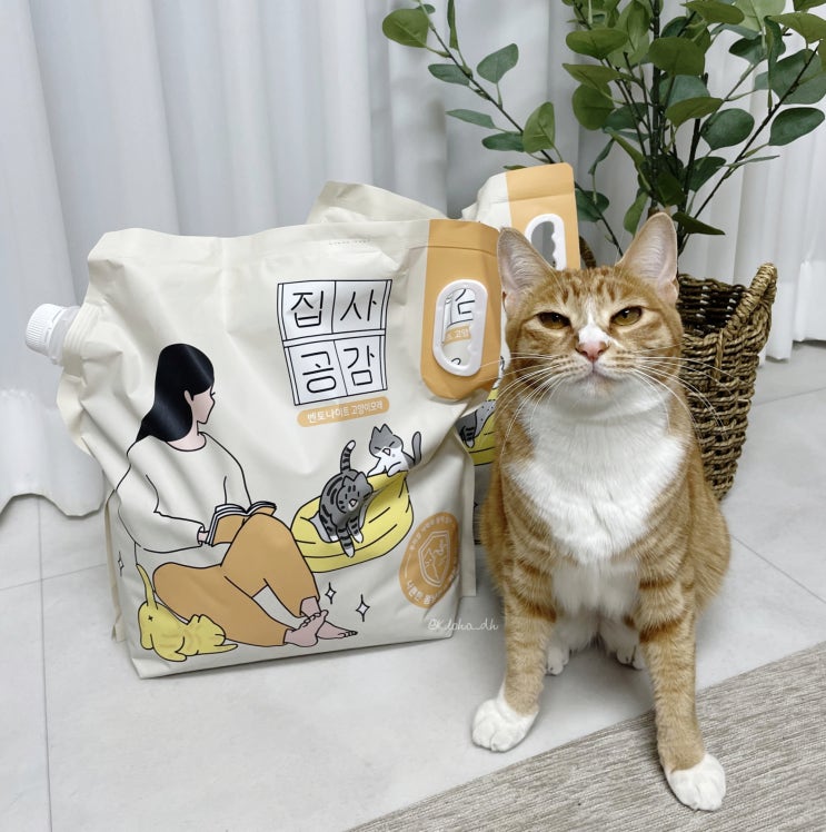  집사공감 벤토나이트 사막화방지 고양이모래추천