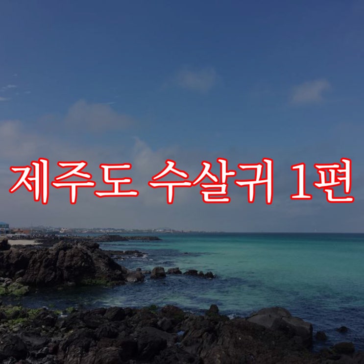  제주도 수살귀 1편 / 무서운 이야기