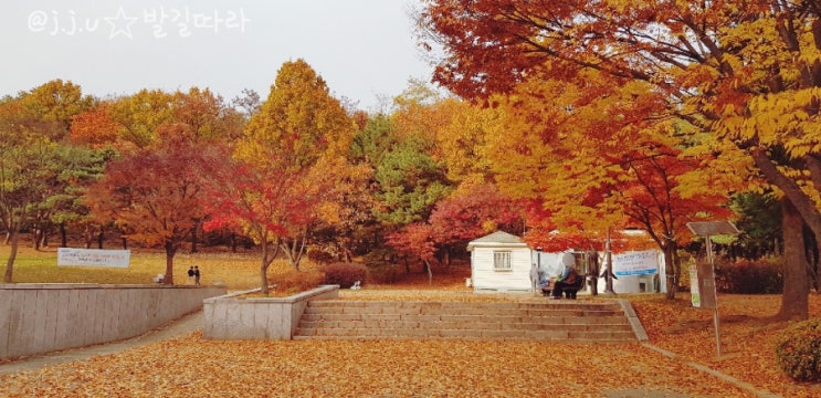  일산) 늦가을 단풍놀이 '정발산공원' ㅡ 낙엽 밟기