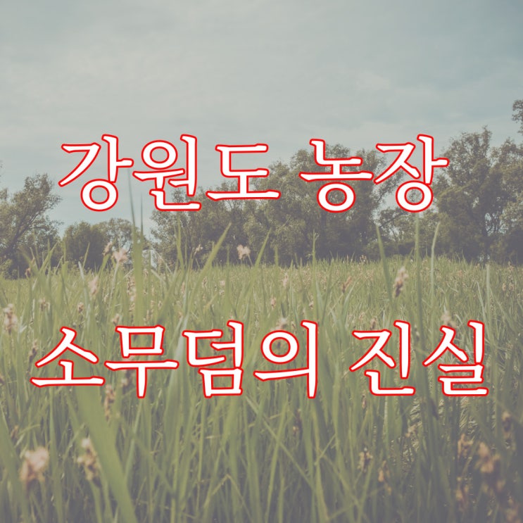  강원도 농장 소무덤의 진실 / 네이트판 레전드 공포 괴담
