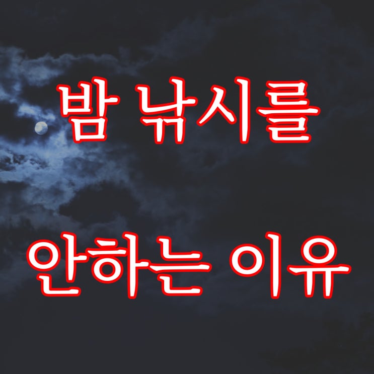  내가 밤 낚시를 안하게된 이유 / 도시 괴담 레전드 실화 공포