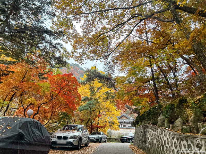 북한산/우이동 한옥카페 선운각, 서울 단풍명소로! : 네이버 블로그