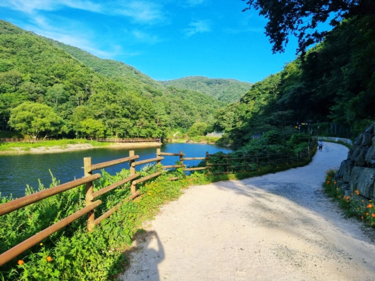  울산 산책코스 송정 박상진호수공원 아이와 함께