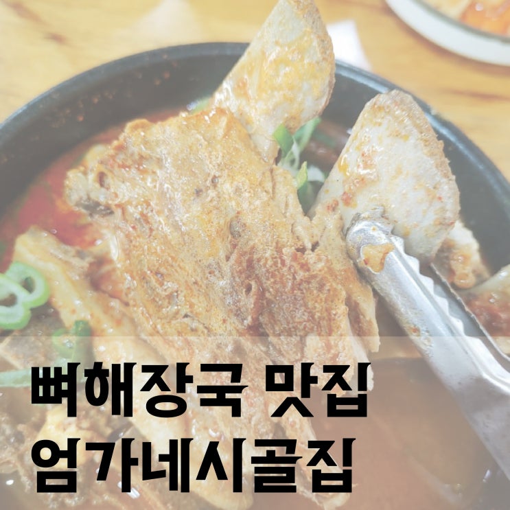  전주현지인맛집,엄가네시골집에서 뼈해장국 든든하게 먹고왔어요