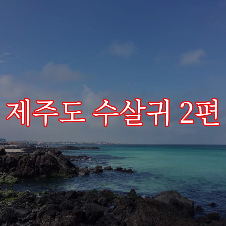  제주도 수살귀 2편 / 무서운 이야기