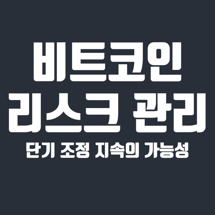  비트코인 시황 : 단기 조정과 리스크 관리 전략
