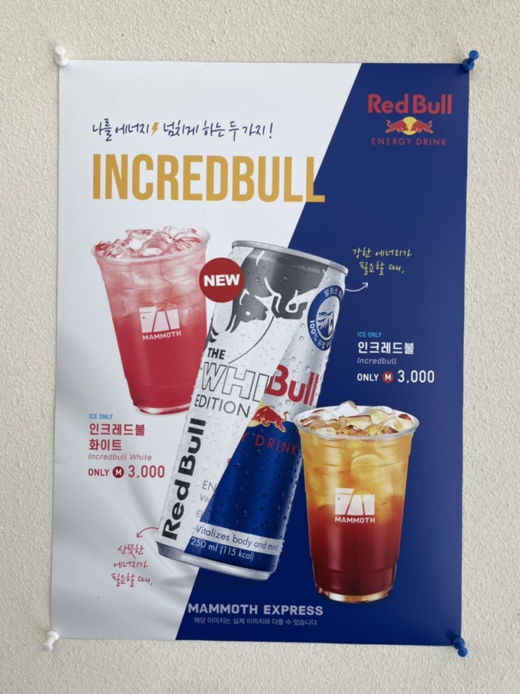  가성비 갑 매머드커피 신메뉴 '인크레드불 화이트, 인크레드불'_내돈내산, 솔직후기