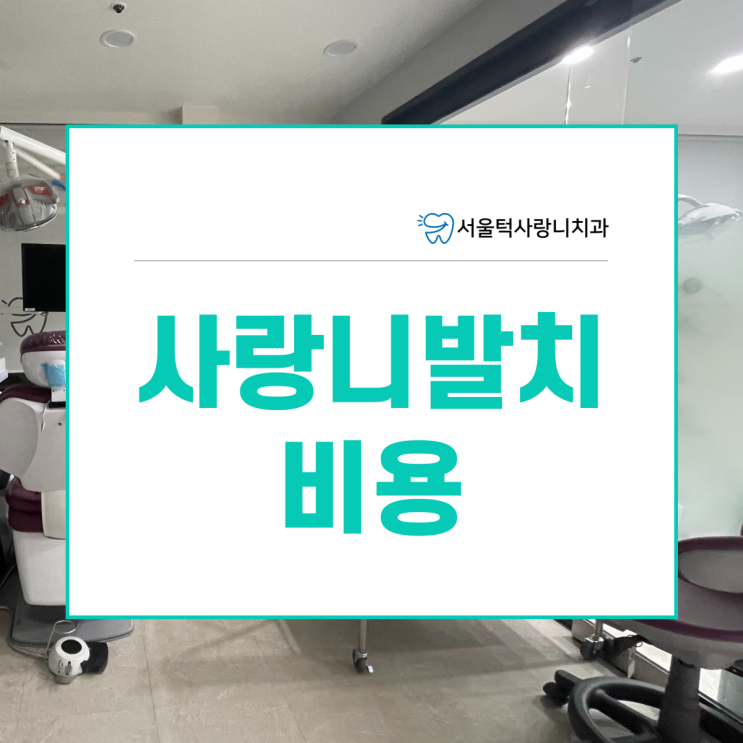  사랑니발치비용 총정리