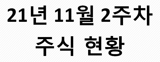  21년 11월 2주 차 주식 수익 현황
