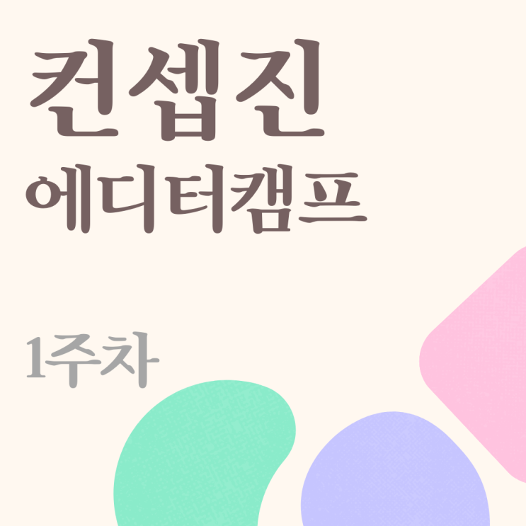  c 컨셉진 미션캠프 - 에디터캠프 1주차 후기