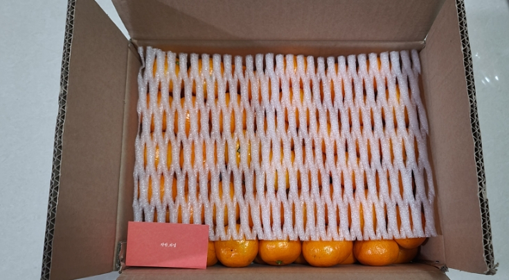 무농약귤 타이벡감귤 5KG