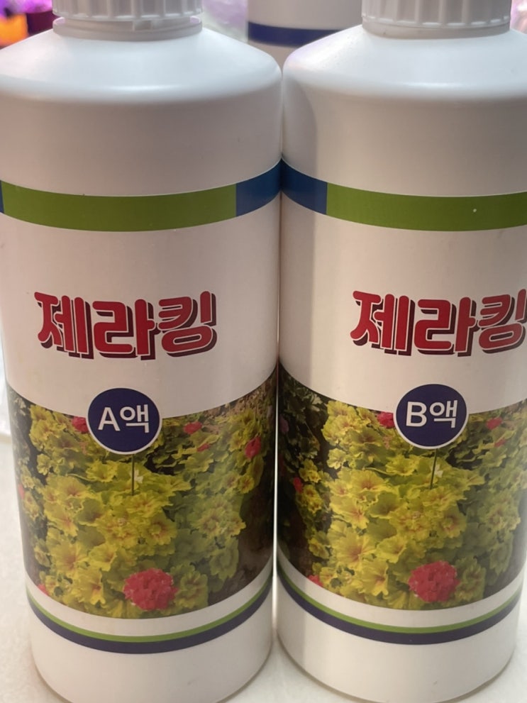  제라늄 영양제 제라킹 구매