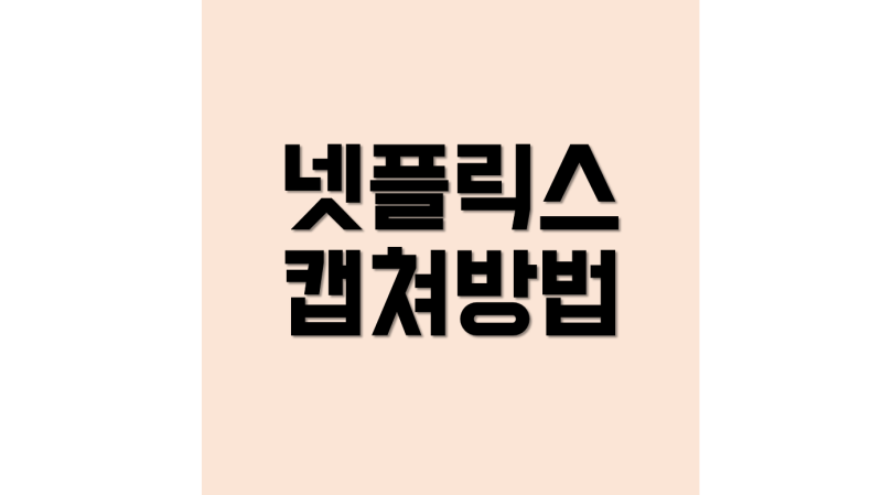 넷플릭스 화면 캡쳐하는 방법(모바일 불가, PC 크롬 버전), 저작권?