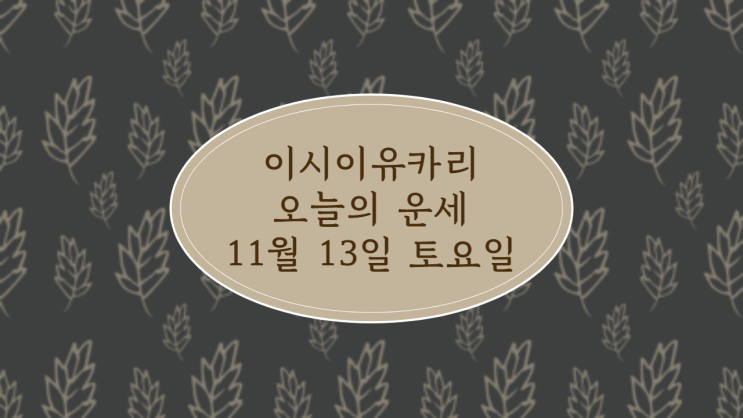  이시이유카리 오늘의 운세 11월 13일 토요일