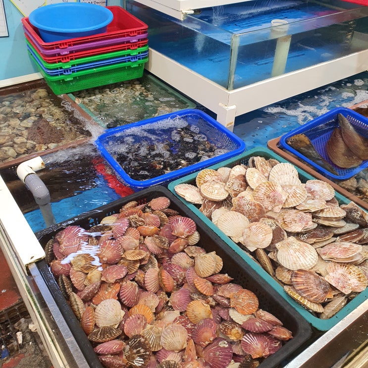  구리 농수산물도매시장 명길수산(싱싱한 광어회)