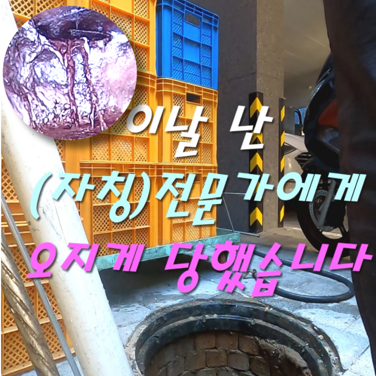  성북구 동선동 변기 역류 '자칭 정화조 전문가에게 오지게 당하다'