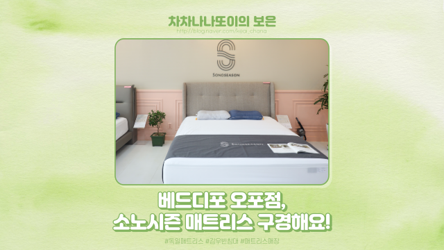  베드디포 오포점에서 소노시즌 매트리스 보고 왔어요. (feat. 김우빈 침대)