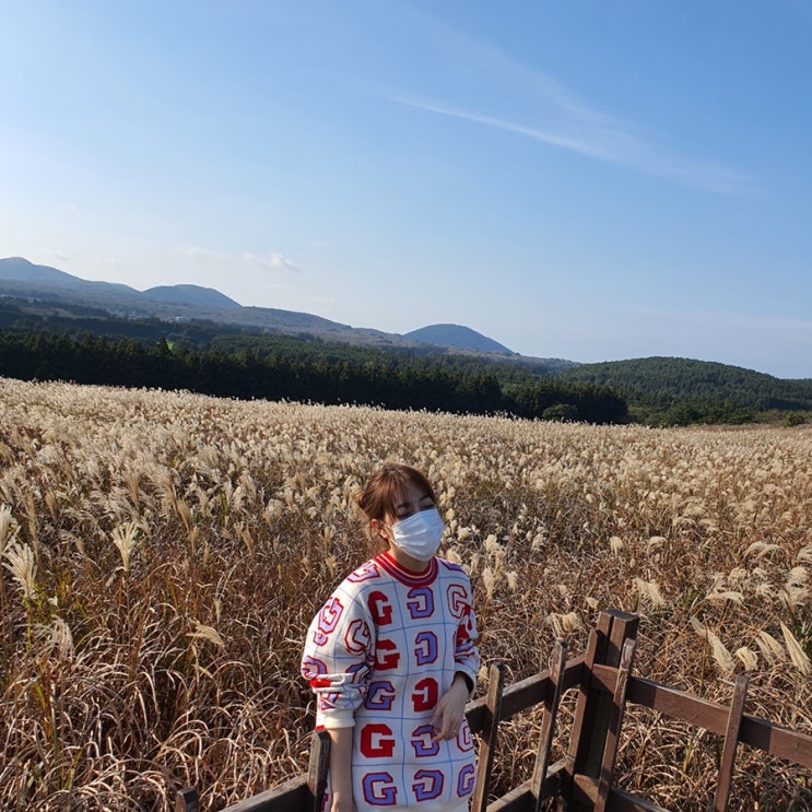 제주 가을의 마지막은 여기야, 제주산굼부리